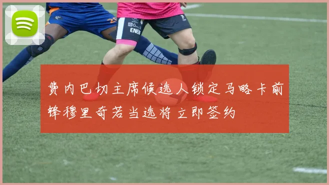 费内巴切主席候选人锁定马略卡前锋穆里奇若当选将立即签约